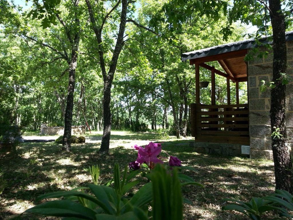Cabanas Vallecino Manzanal de los Infantes Exterior photo