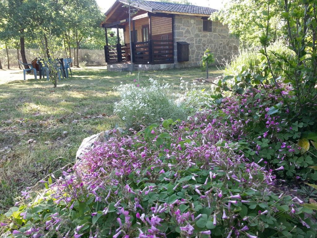 Cabanas Vallecino Manzanal de los Infantes Exterior photo